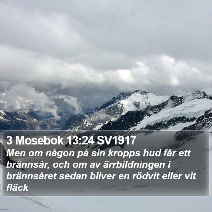 3 Mosebok 13:24 SV1917 Bible Study