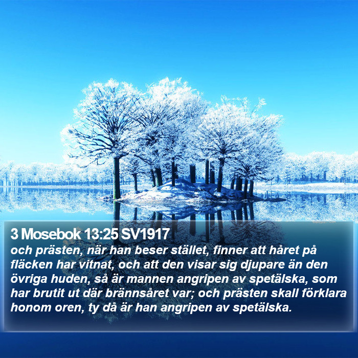 3 Mosebok 13:25 SV1917 Bible Study
