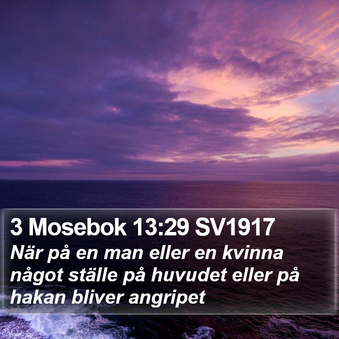 3 Mosebok 13:29 SV1917 Bible Study