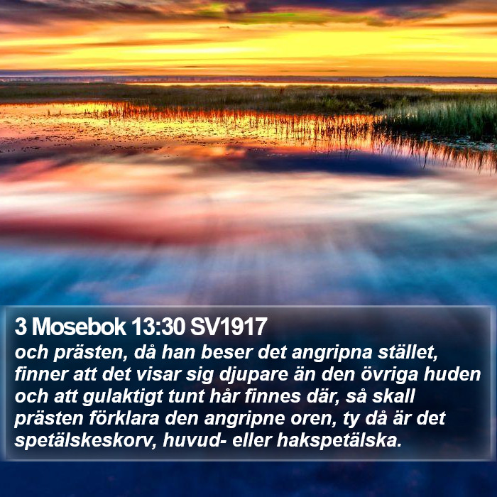 3 Mosebok 13:30 SV1917 Bible Study