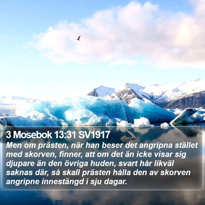 3 Mosebok 13:31 SV1917 Bible Study