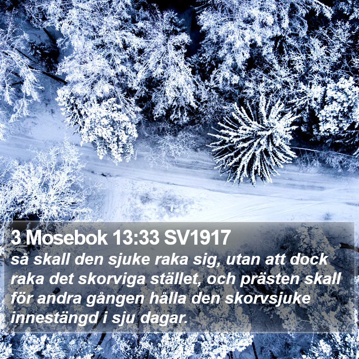 3 Mosebok 13:33 SV1917 Bible Study