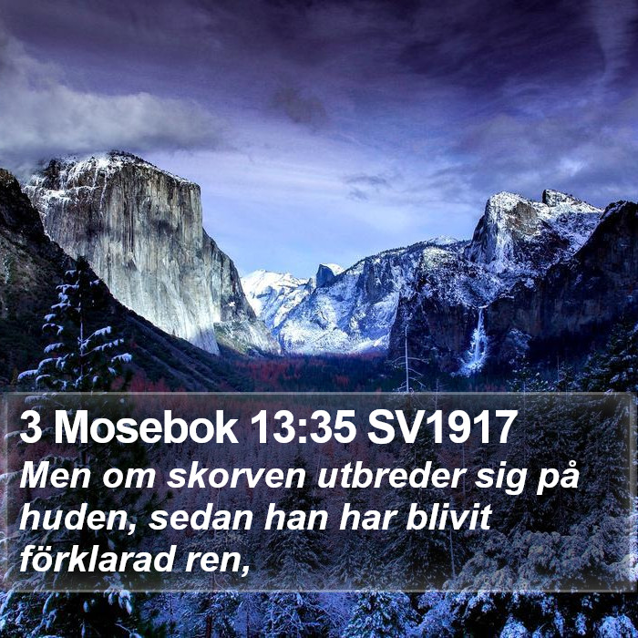 3 Mosebok 13:35 SV1917 Bible Study