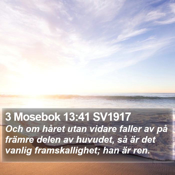3 Mosebok 13:41 SV1917 Bible Study