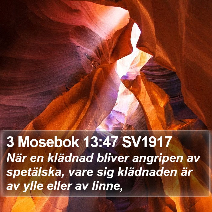 3 Mosebok 13:47 SV1917 Bible Study