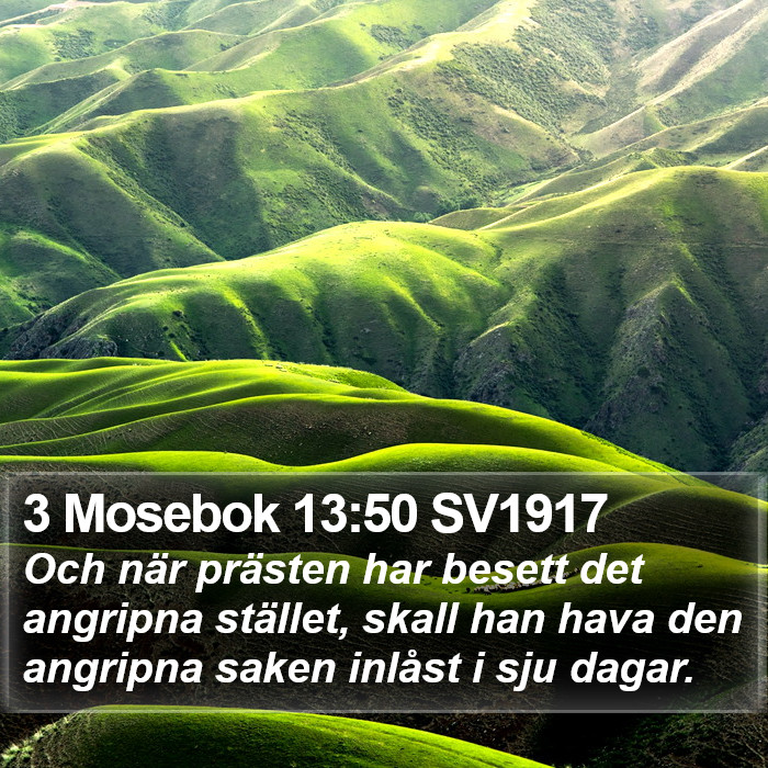 3 Mosebok 13:50 SV1917 Bible Study