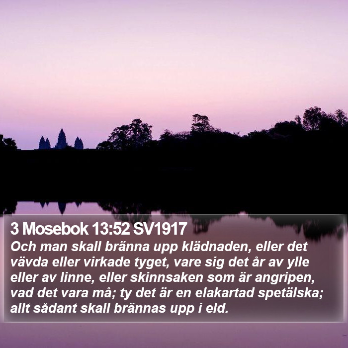 3 Mosebok 13:52 SV1917 Bible Study