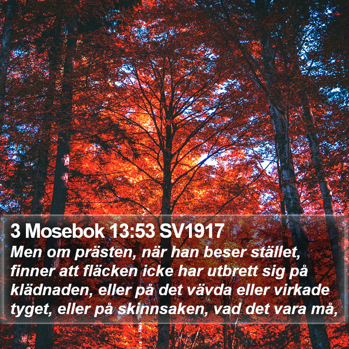 3 Mosebok 13:53 SV1917 Bible Study