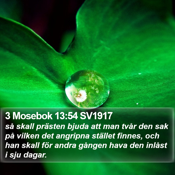 3 Mosebok 13:54 SV1917 Bible Study