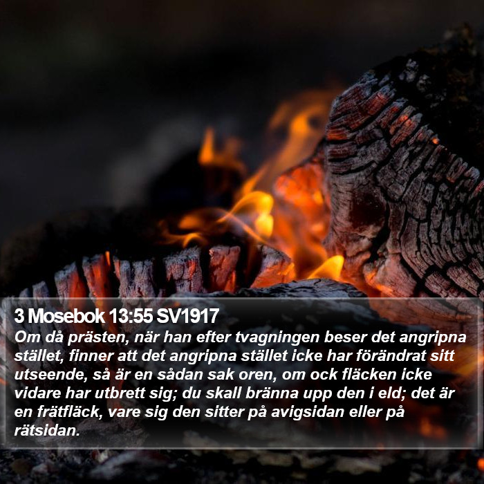 3 Mosebok 13:55 SV1917 Bible Study