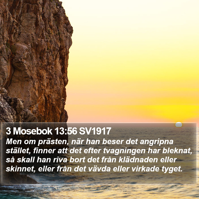 3 Mosebok 13:56 SV1917 Bible Study