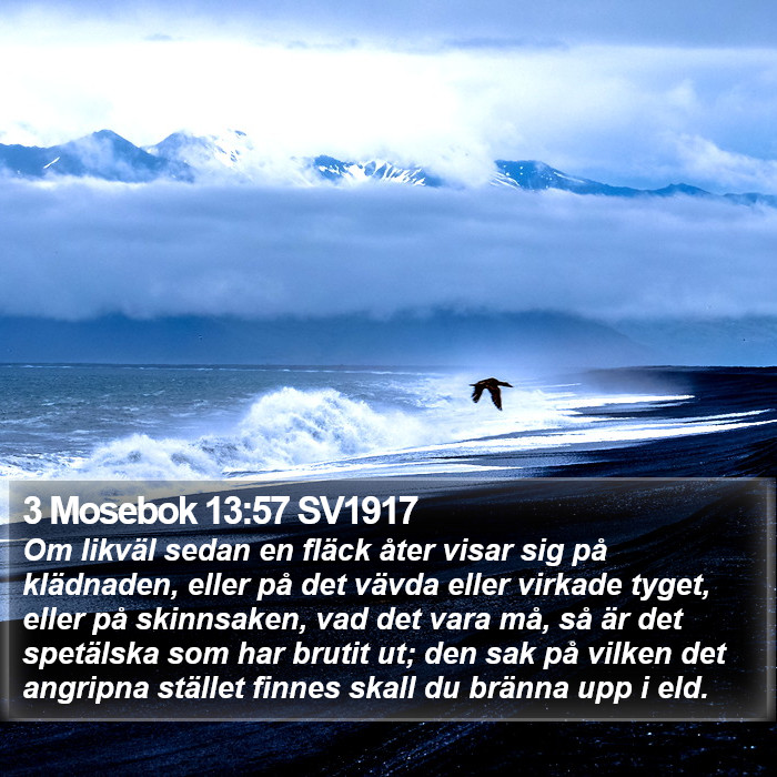 3 Mosebok 13:57 SV1917 Bible Study