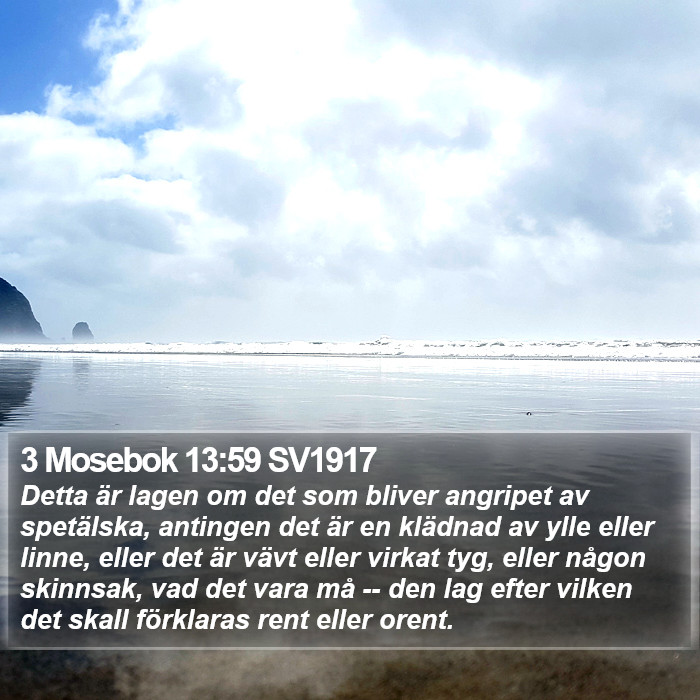 3 Mosebok 13:59 SV1917 Bible Study