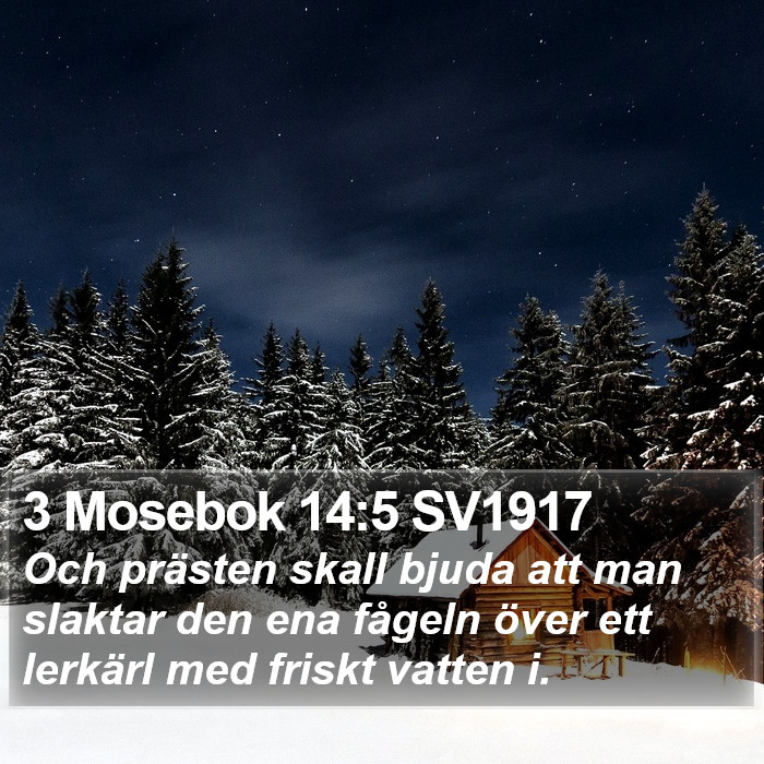 3 Mosebok 14:5 SV1917 Bible Study