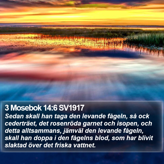 3 Mosebok 14:6 SV1917 Bible Study