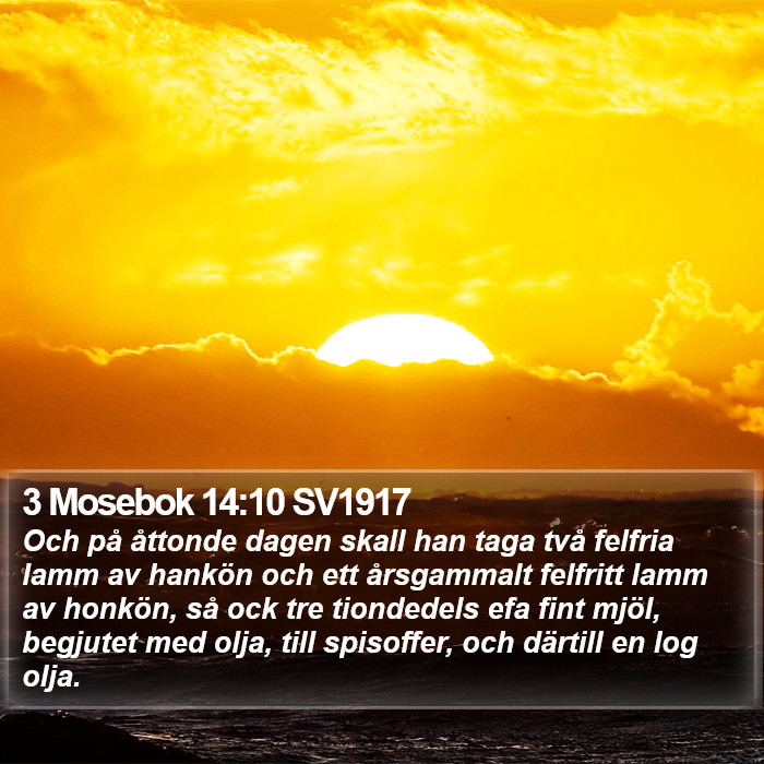 3 Mosebok 14:10 SV1917 Bible Study
