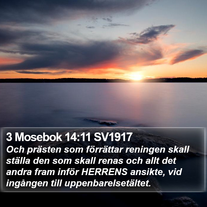 3 Mosebok 14:11 SV1917 Bible Study
