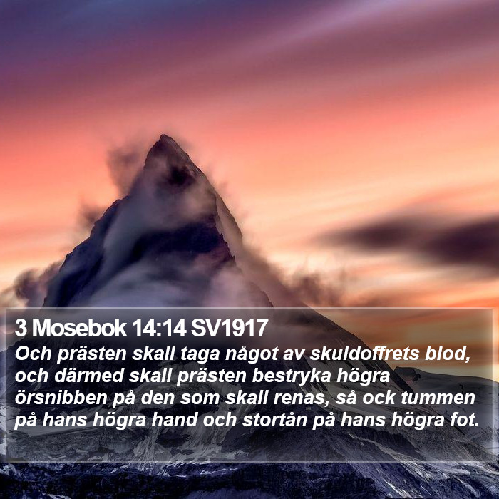 3 Mosebok 14:14 SV1917 Bible Study