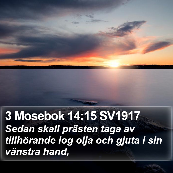 3 Mosebok 14:15 SV1917 Bible Study