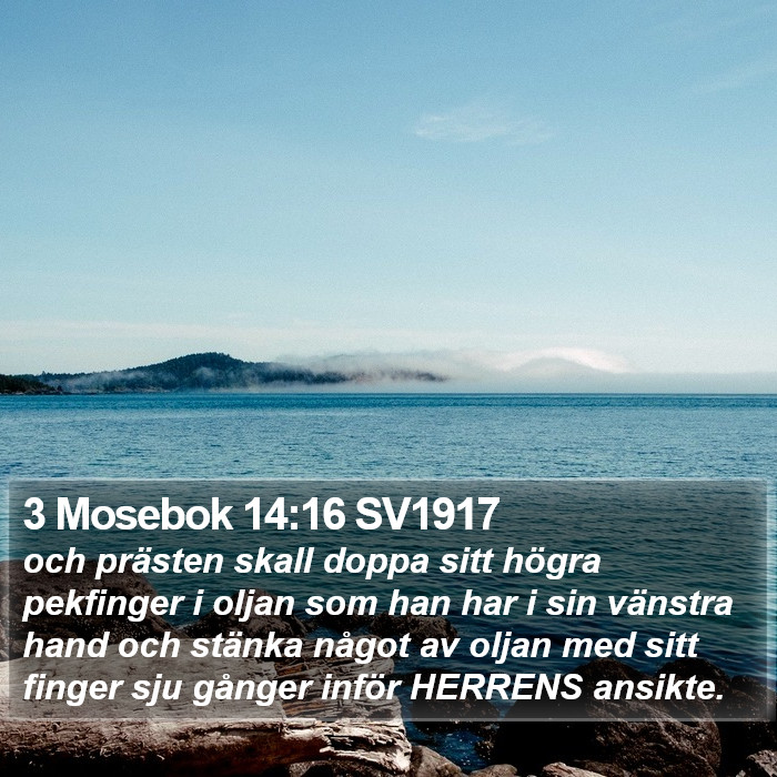 3 Mosebok 14:16 SV1917 Bible Study