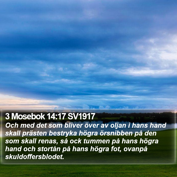 3 Mosebok 14:17 SV1917 Bible Study