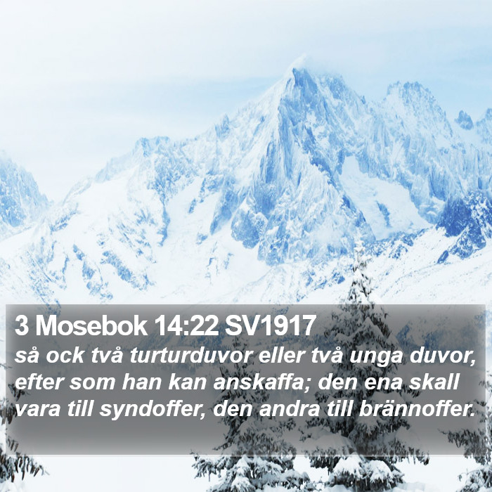 3 Mosebok 14:22 SV1917 Bible Study