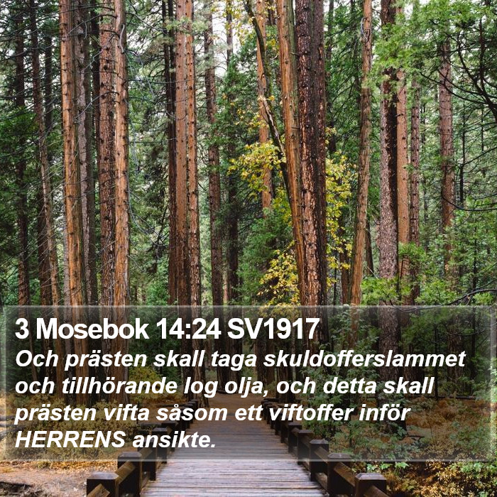 3 Mosebok 14:24 SV1917 Bible Study