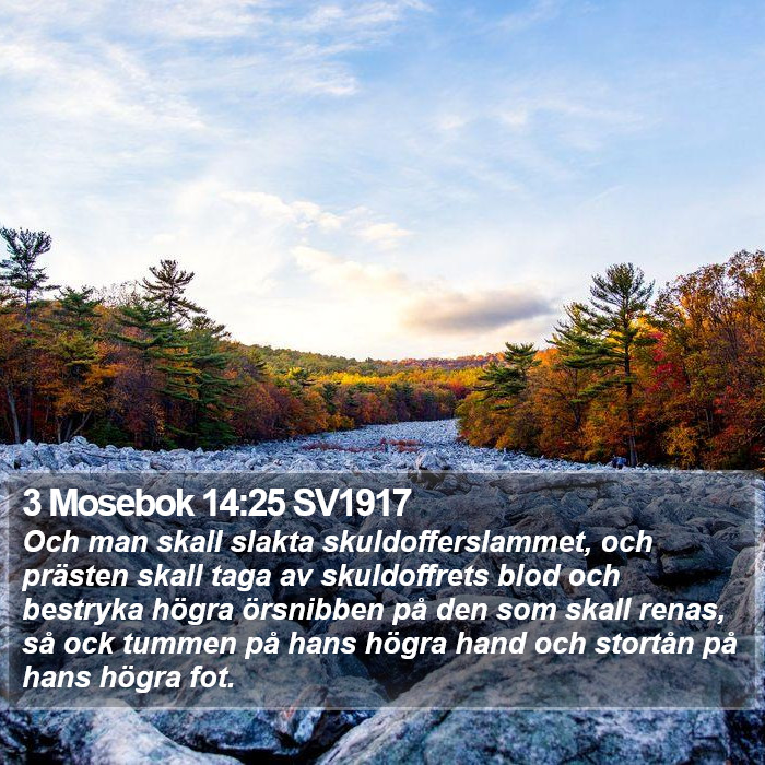 3 Mosebok 14:25 SV1917 Bible Study