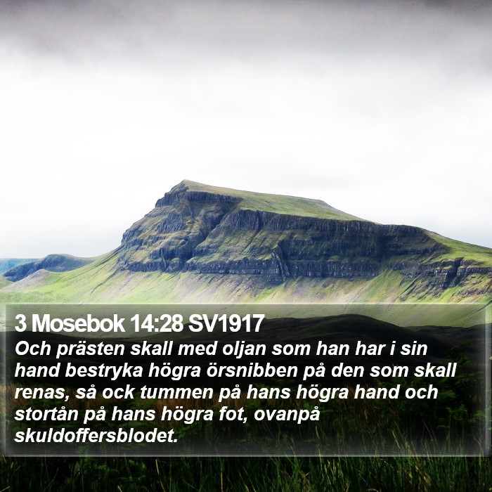 3 Mosebok 14:28 SV1917 Bible Study