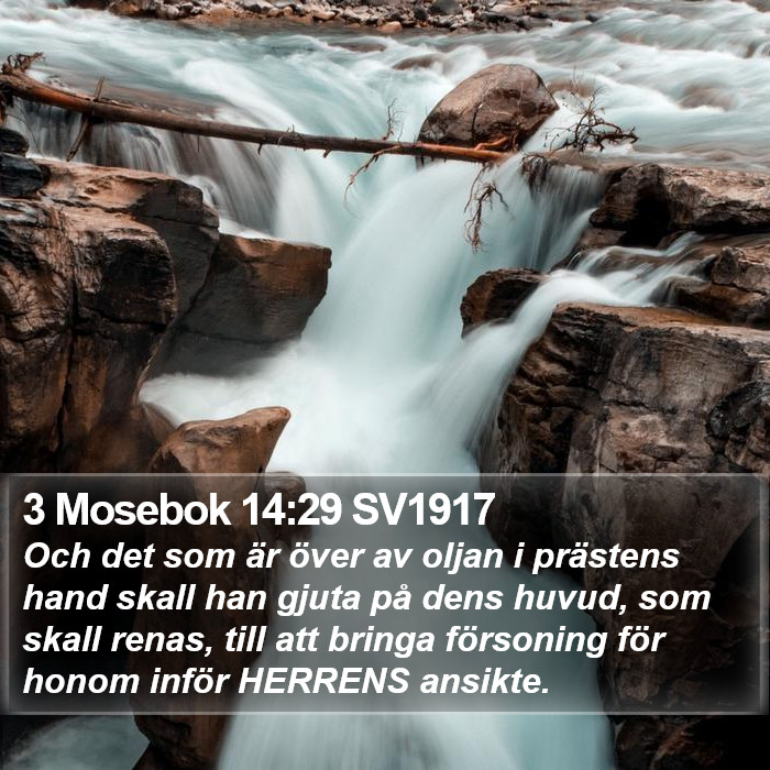 3 Mosebok 14:29 SV1917 Bible Study