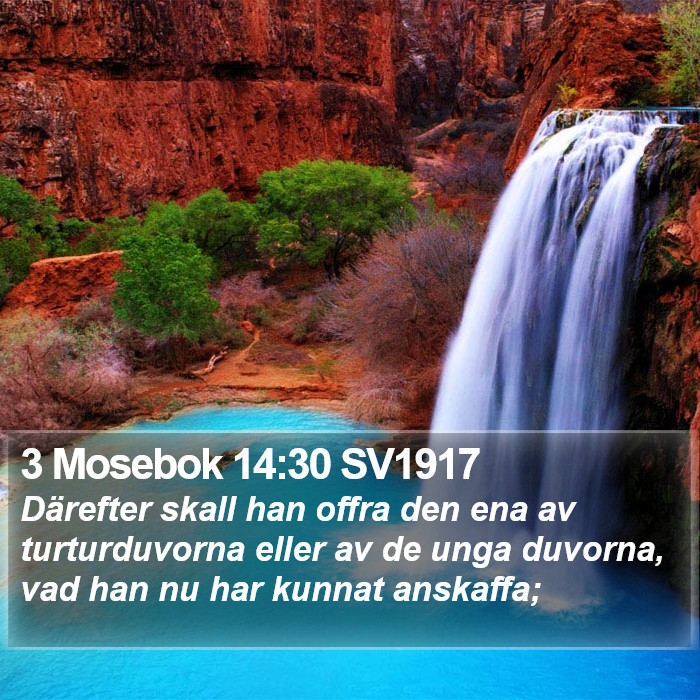3 Mosebok 14:30 SV1917 Bible Study