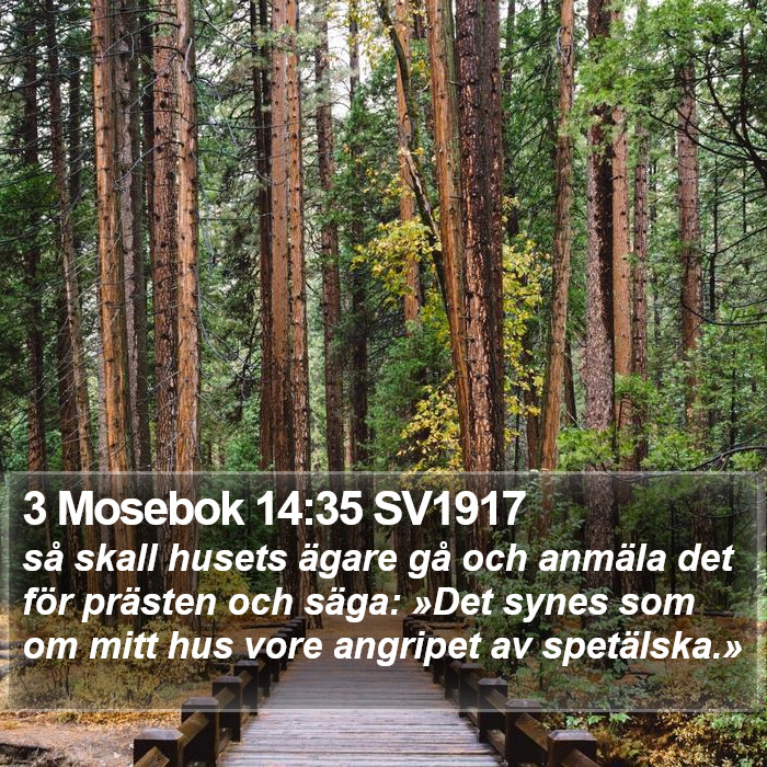 3 Mosebok 14:35 SV1917 Bible Study