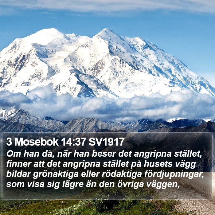 3 Mosebok 14:37 SV1917 Bible Study