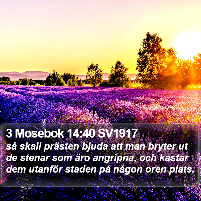 3 Mosebok 14:40 SV1917 Bible Study
