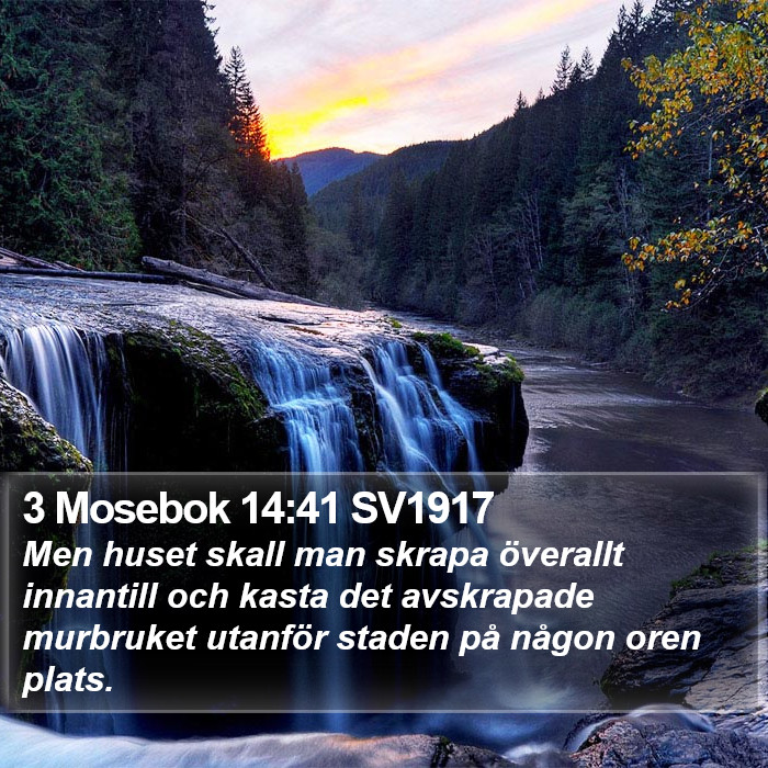 3 Mosebok 14:41 SV1917 Bible Study