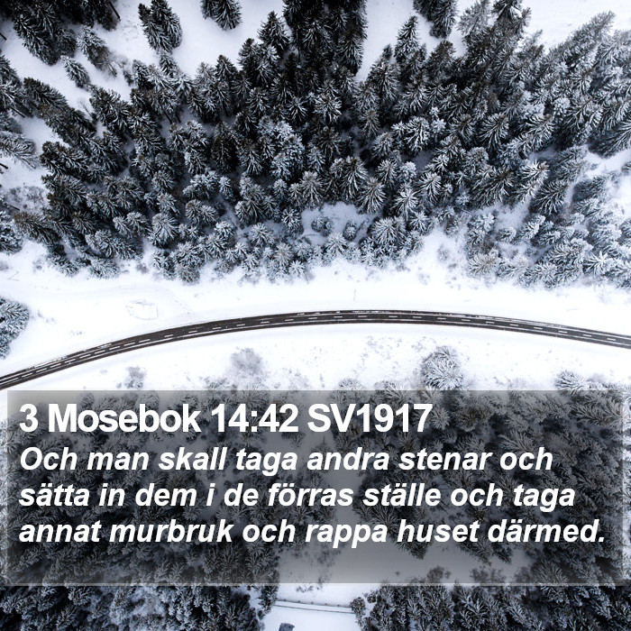 3 Mosebok 14:42 SV1917 Bible Study