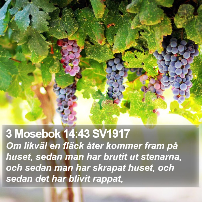 3 Mosebok 14:43 SV1917 Bible Study