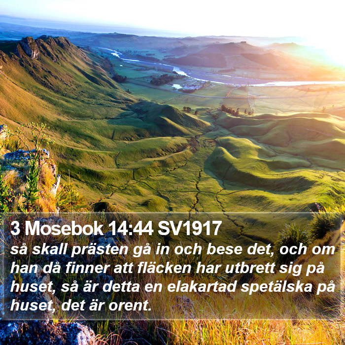 3 Mosebok 14:44 SV1917 Bible Study
