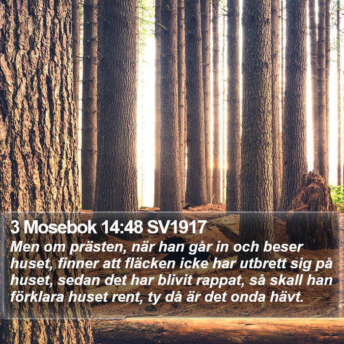 3 Mosebok 14:48 SV1917 Bible Study