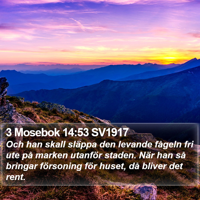 3 Mosebok 14:53 SV1917 Bible Study