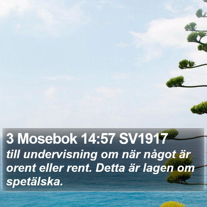 3 Mosebok 14:57 SV1917 Bible Study