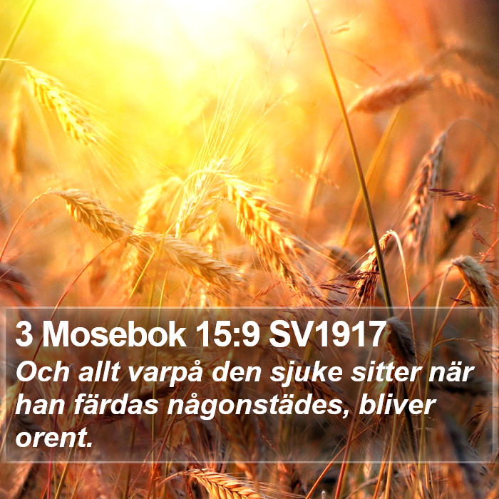 3 Mosebok 15:9 SV1917 Bible Study