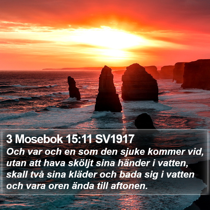 3 Mosebok 15:11 SV1917 Bible Study