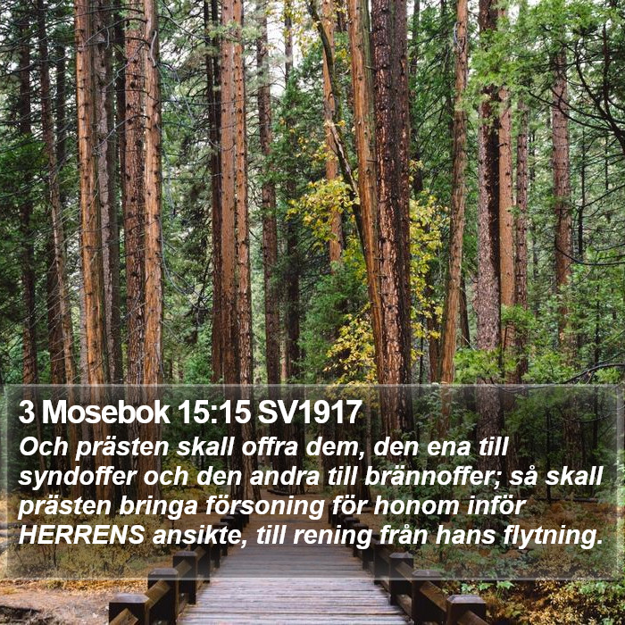3 Mosebok 15:15 SV1917 Bible Study