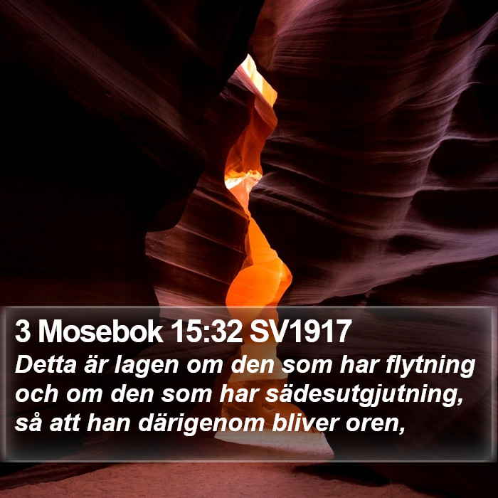 3 Mosebok 15:32 SV1917 Bible Study