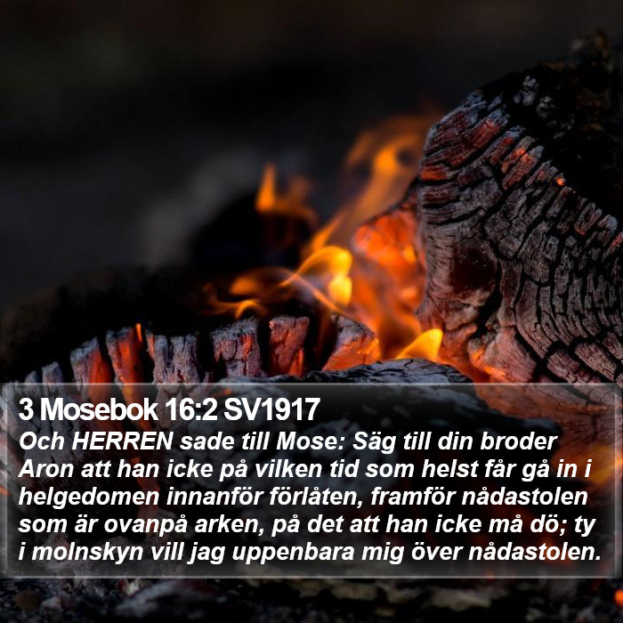 3 Mosebok 16:2 SV1917 Bible Study