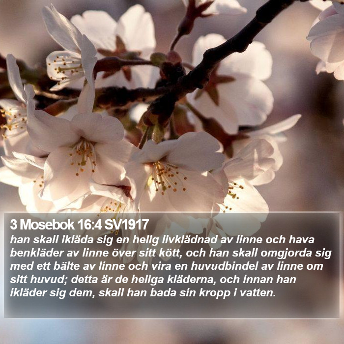 3 Mosebok 16:4 SV1917 Bible Study