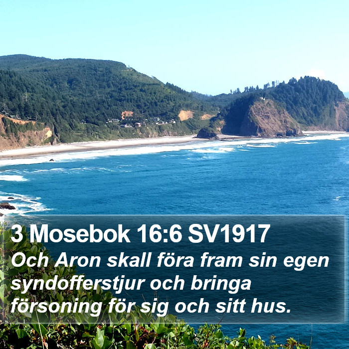 3 Mosebok 16:6 SV1917 Bible Study