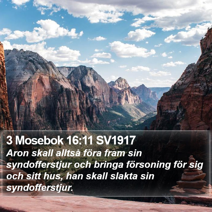 3 Mosebok 16:11 SV1917 Bible Study