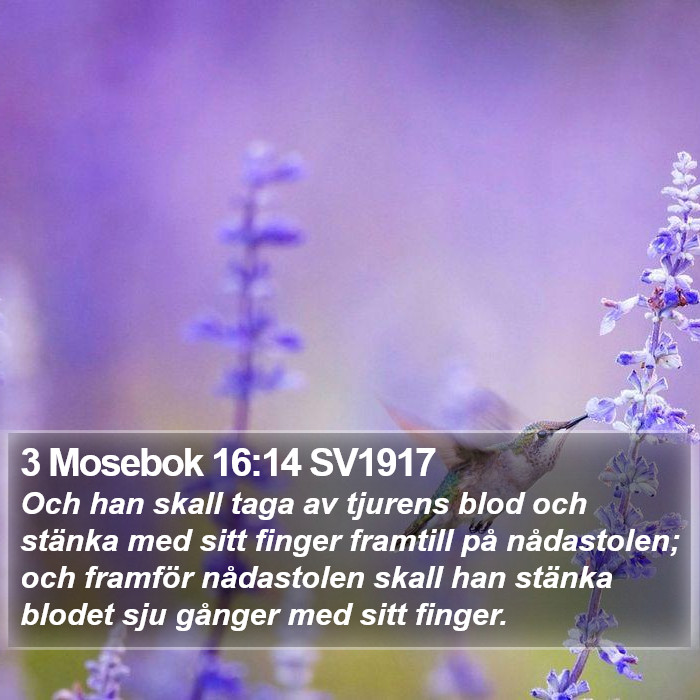 3 Mosebok 16:14 SV1917 Bible Study